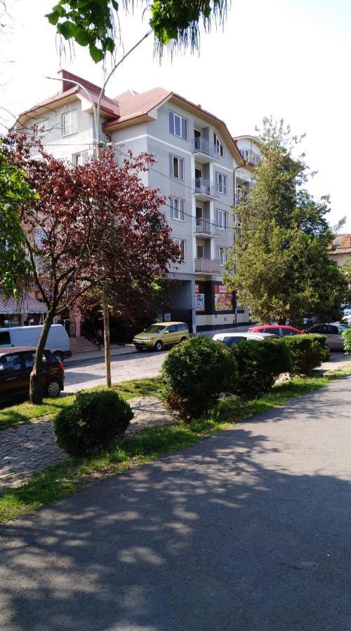 Apartments Domovik Просторная Квартира С Видом На Горы Mukacheve Exterior photo