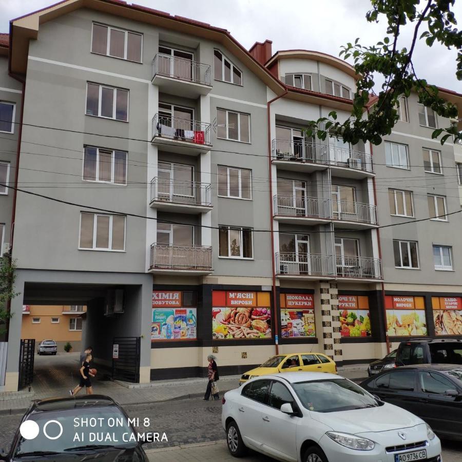 Apartments Domovik Просторная Квартира С Видом На Горы Mukacheve Exterior photo